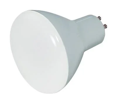 Light Bulb505018