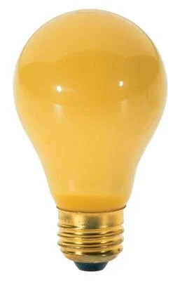 Light Bulb603368