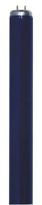 Light Bulb603649
