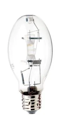 Light Bulb603830