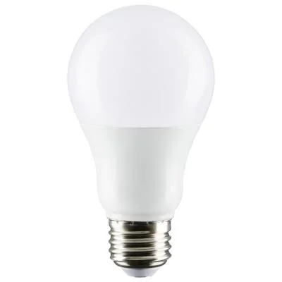 Light Bulb6140870