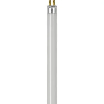Light Bulb6625831