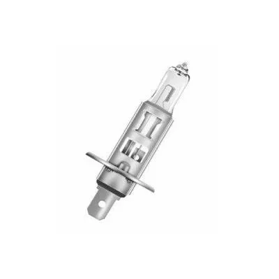 Light Bulb823711