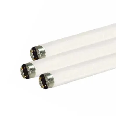 Light Bulb823738