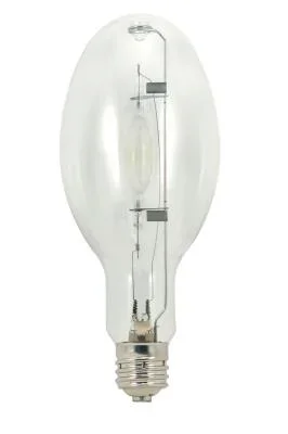 Light Bulb826025