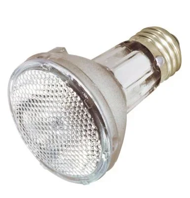 Light Bulb826123