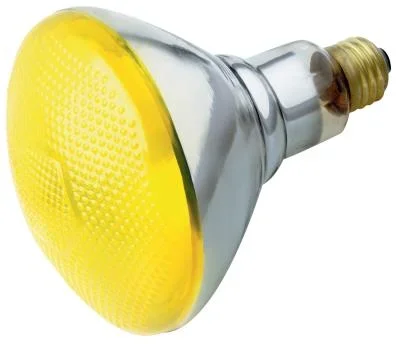 Light Bulb826992