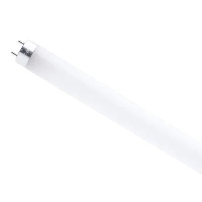 Light Bulb8298751