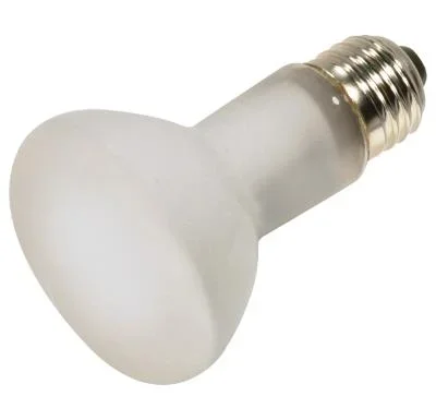 Light Bulb832336