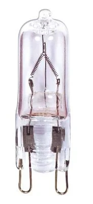 Light Bulb832455