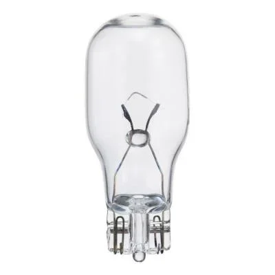 Light Bulb832511