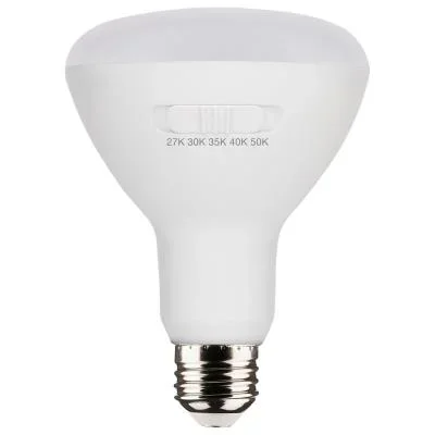 Light Bulb8611005