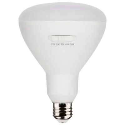 Light Bulb8611008