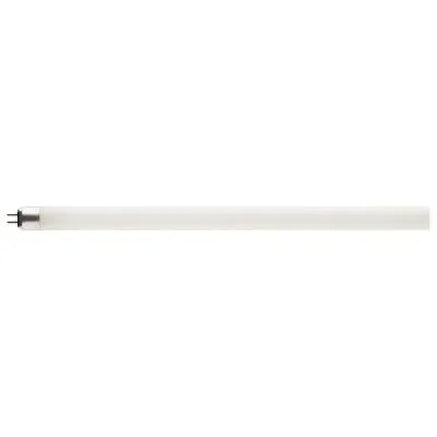 Light Bulb8628726