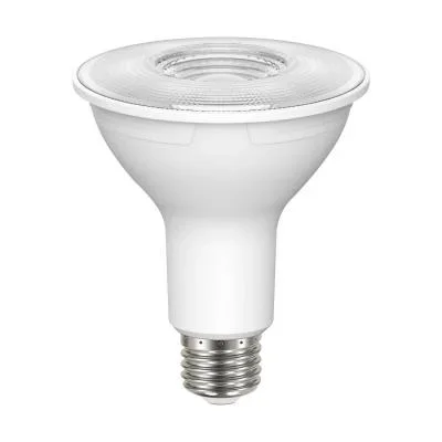 Light Bulb9927130