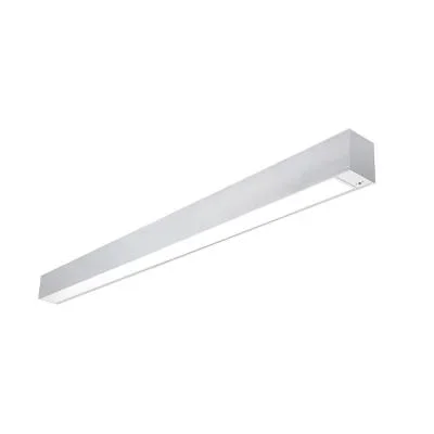 Linear6155488