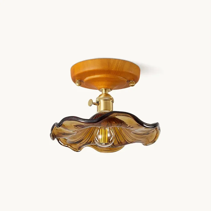 Lucira Ceiling LightMJC-0971-1