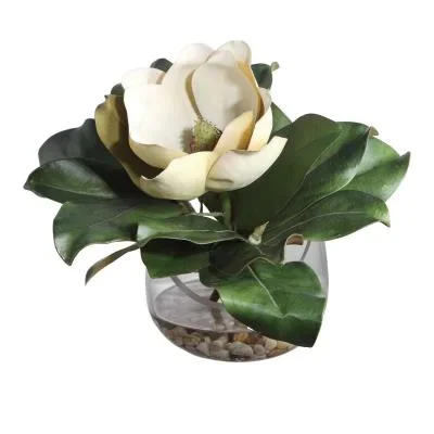 Magnolia Accent521027