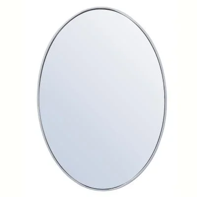 Mirror2244355