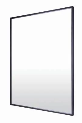 Mirror2437384