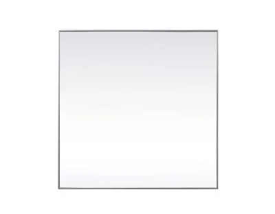 Mirror4695240