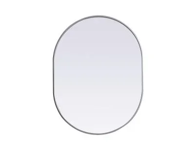 Mirror4698685