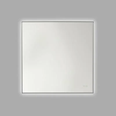 Mirror6264229