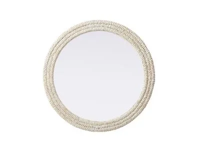 Mirror8162785