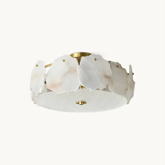 Nasile Ceiling LightMJC-0648-1