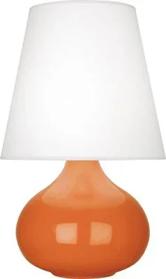 One Light Accent Lamp696823