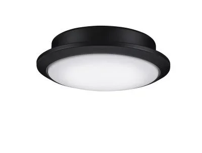 One Light Fan Light Kit4030901