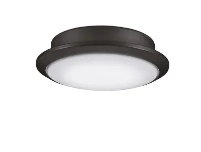 One Light Fan Light Kit922409