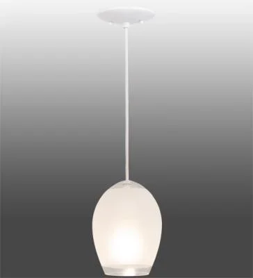 One Light Pendant553723