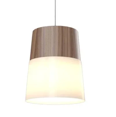 One Light Pendant8896149