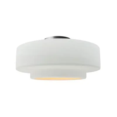 One Light Semi-Flush Mount4207659