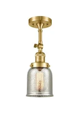 One Light Semi-Flush Mount6336173