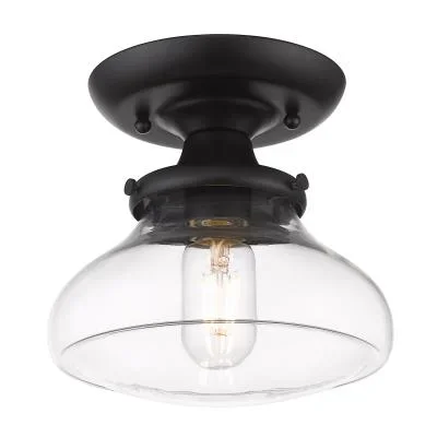 One Light Semi-Flush Mount8861449