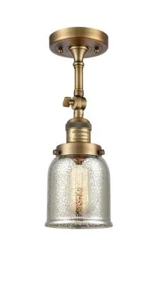 One Light Semi-Flush Mount9697500