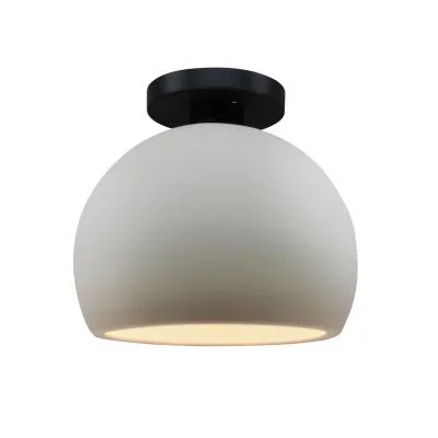 One Light Semi-Flush Mount9834608