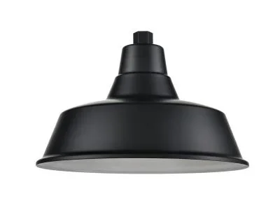 One Light Shade3248653