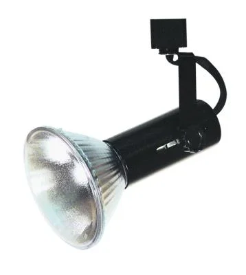 One Light Track Fixture988731