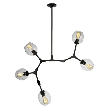 Organic Five Light Chandelier (JA14025BK)