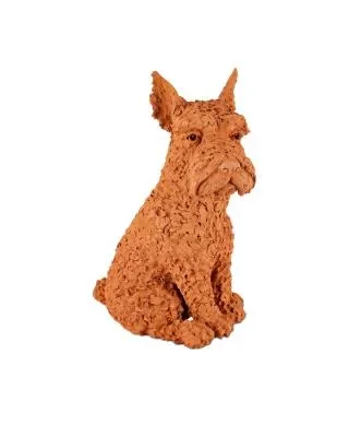 Oscar the Scottish Terrier2696164