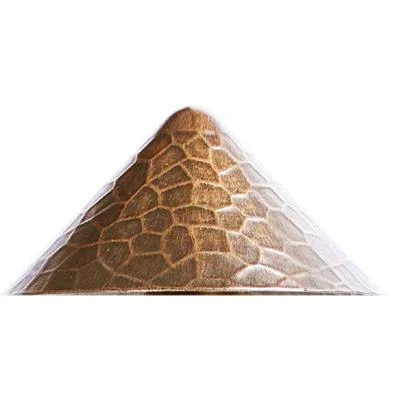 Path Light Cap2678969
