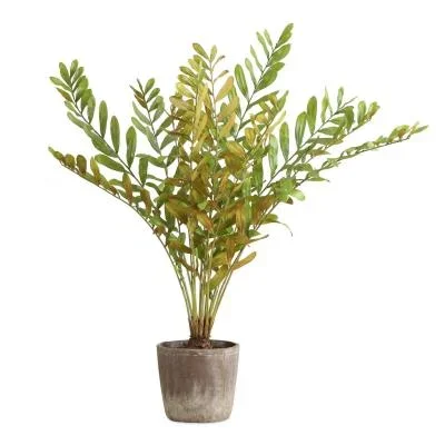 Planter2425228