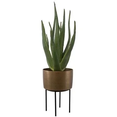 Planter3418097
