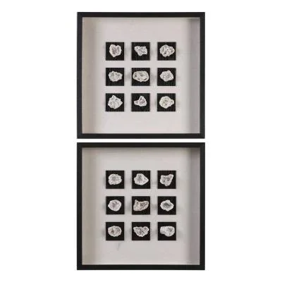 Shadow Box765363