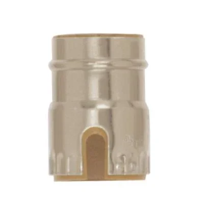 Shell With Paper Liner2438013