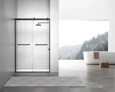 Shower Door2694217