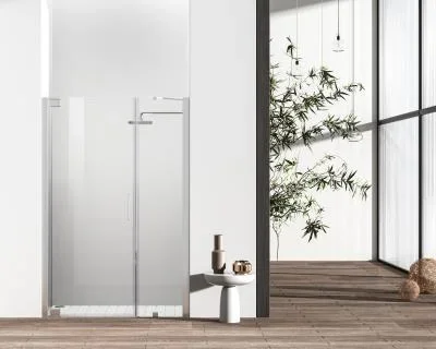 Shower Door4695438